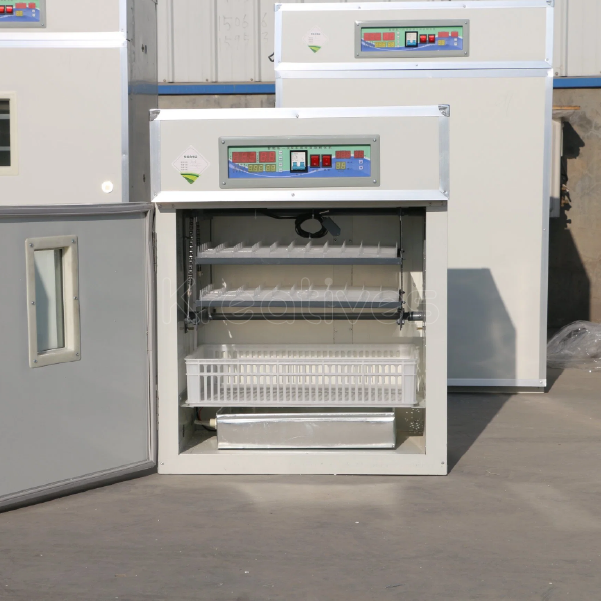 176 Egg Automatic AC/DC Egg Incubator - Sokokubwa