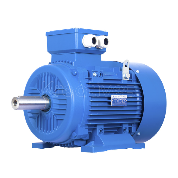 Kmax Italy 20HP 3 Phase High Speed Electric Motor - Sokokubwa