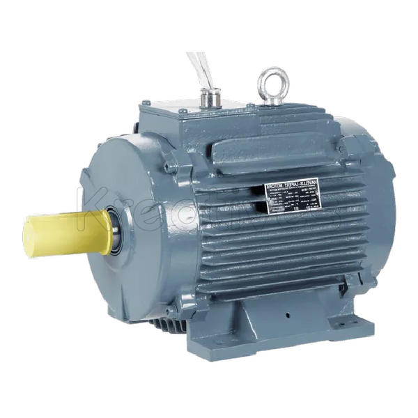 Hisaki Japan 10HP High Speed Single Phase Motor - Sokokubwa