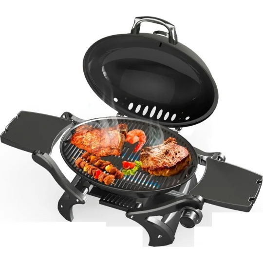 Deluxe Portable Gas Barbecue