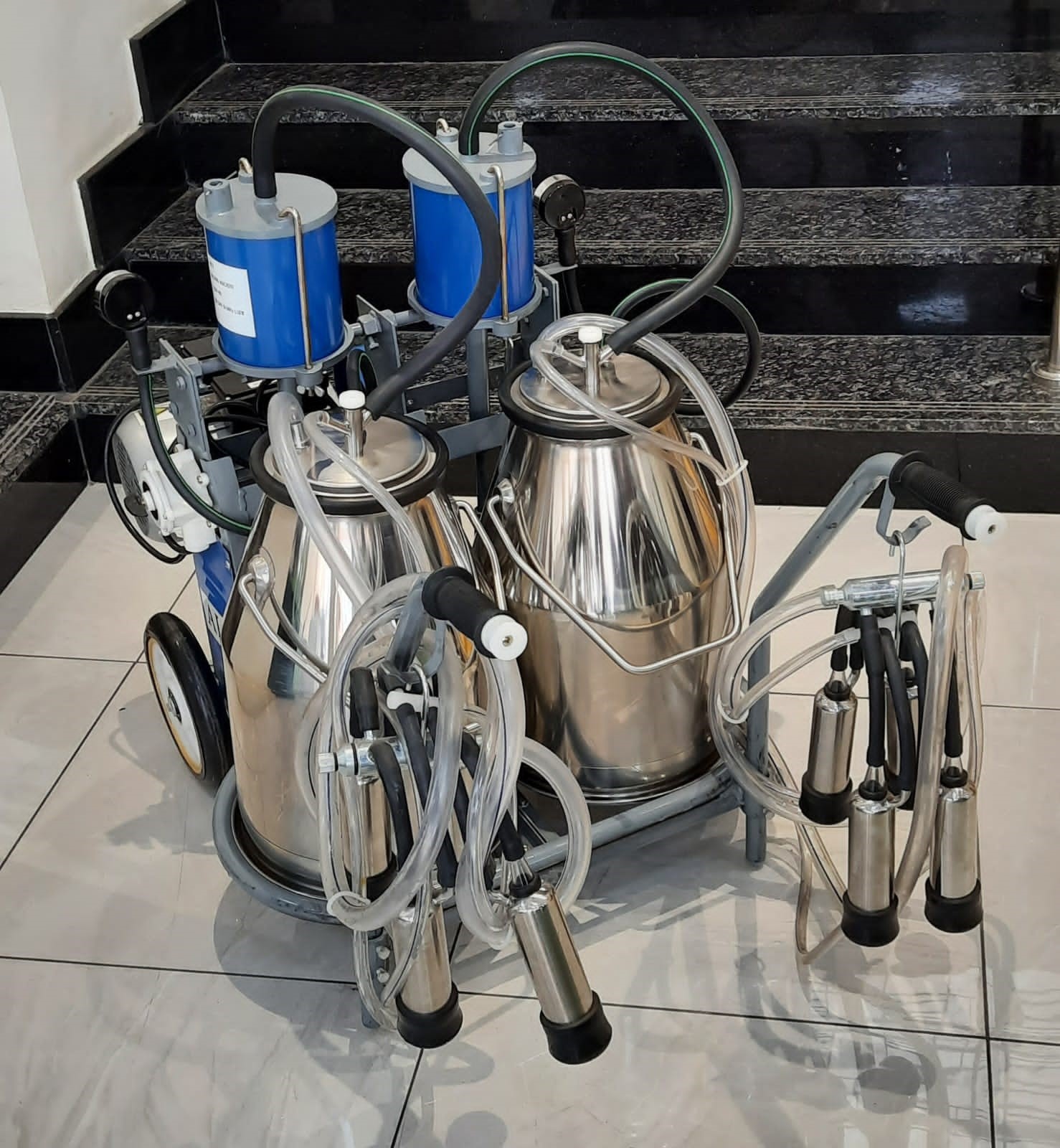 Milano Italia Double Bucket Milking Machine