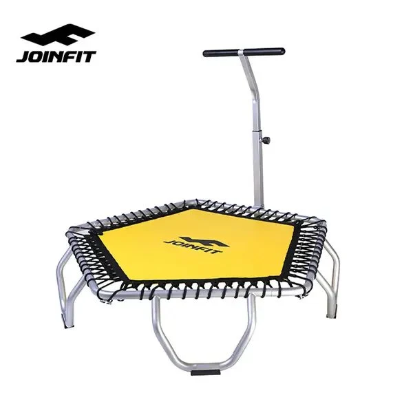 Commercial Trampoline / Rebounder With Stabilizing Bar