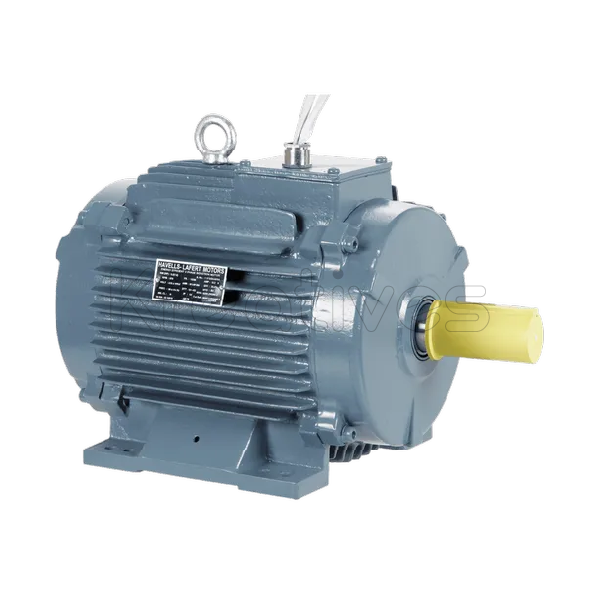 Hisaki Japan 3.0HP Low Speed Single Phase Motor - Sokokubwa