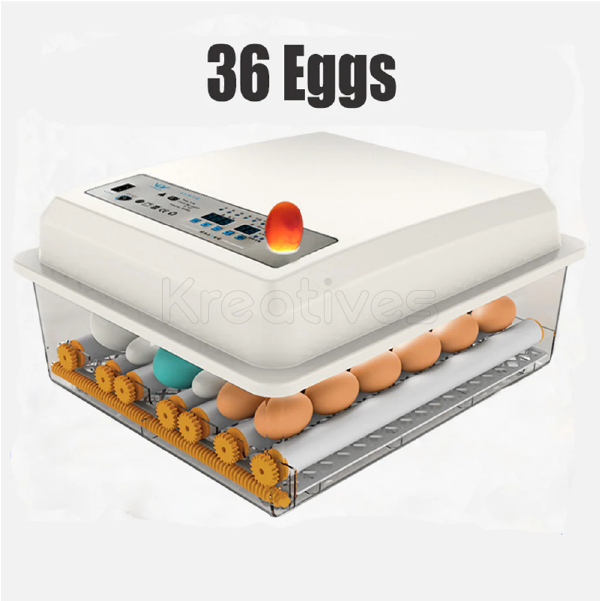 36 Egg Automatic AC/DC Egg Incubator - Sokokubwa